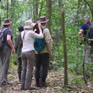 3-day chimpanzee trekking in the primate capital