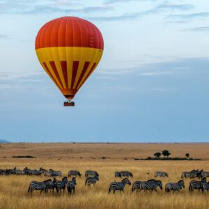 10 Day magnificent tourism in Tanzania