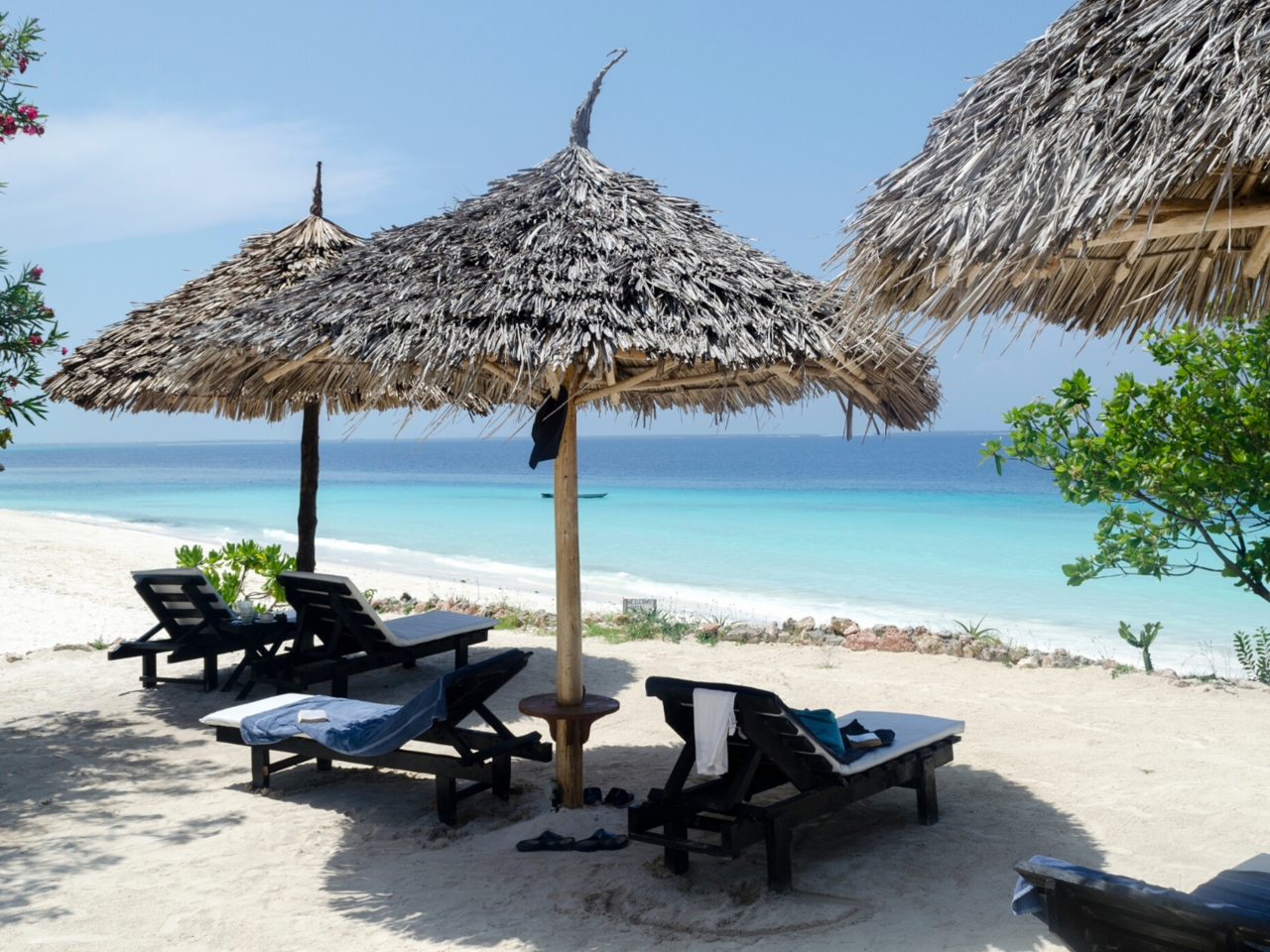 zanzibar beach 8-day tanzania northern circuit and zanzibar beach holiday