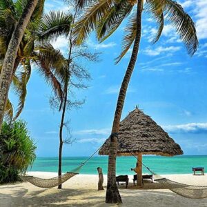 Northern Tanzania and Zanzibar 12 day safari