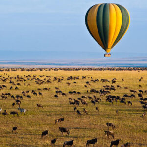 5-day magical safari to lake Naivasha and Lake Nakuru/Masai Mara